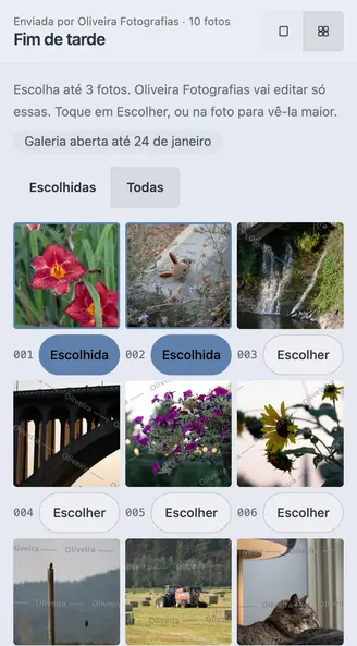 A galeria Fim de tarde no celular da cliente, com 2 das 3 fotos já escolhidas.